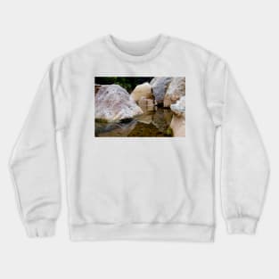 eli reflections Crewneck Sweatshirt